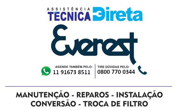 assistência técnica Everest